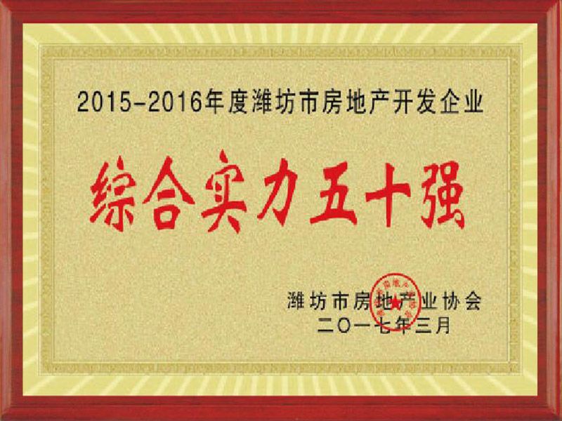 2015-2016年度濰坊市房地產(chǎn)開發(fā)綜合實力50強企業(yè)